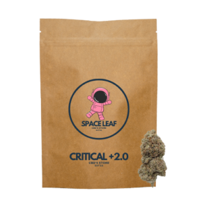 Fleur CBD Critical 2.0 2G